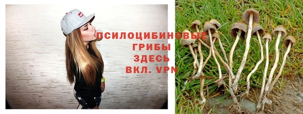 винт Балахна